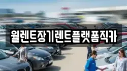 경기 화성시 석우동 렌트카,단기렌트카,장기렌트카,중고차,중고차매매,중고차매입