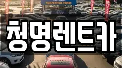 청명렌트카