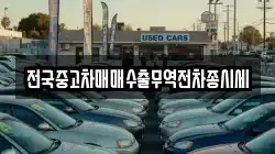 전국중고차매매수출무역전차종시세