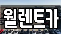 월렌트카