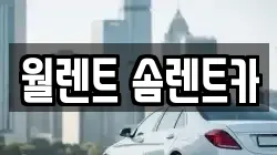 월렌트 솜렌트카