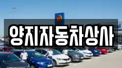 양지자동차상사