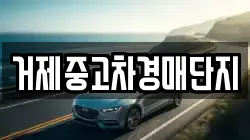거제중고차경매단지
