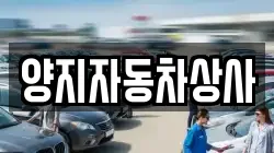 양지자동차상사