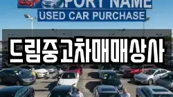 드림중고차매매상사