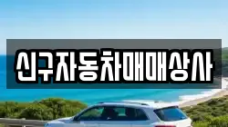 신구자동차매매상사