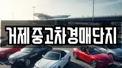 거제중고차경매단지
