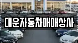 대운자동차매매상사