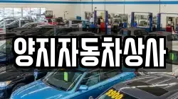양지자동차상사