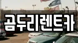 경남 거제시 연초면 렌트카,단기렌트카,장기렌트카,중고차,중고차매매,중고차매입