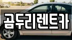 경남 거제시 장목면 렌트카,단기렌트카,장기렌트카,중고차,중고차매매,중고차매입