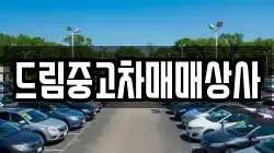 드림중고차매매상사