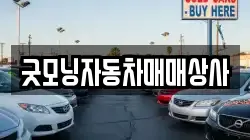 굿모닝자동차매매상사