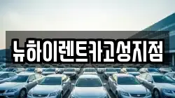 경남 고성군 고성읍 렌트카,단기렌트카,장기렌트카,중고차,중고차매매,중고차매입