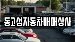 동고성자동차매매상사