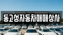 동고성자동차매매상사