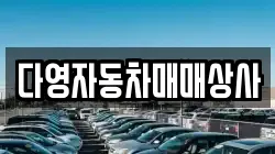 경남 고성군 상리면 렌트카,단기렌트카,장기렌트카,중고차,중고차매매,중고차매입