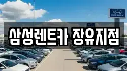 삼성렌트카 장유지점