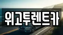 위고투렌트카