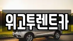 위고투렌트카