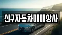 신구자동차매매상사