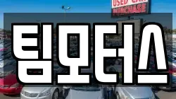 팀모터스