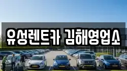 경남 김해시 봉황동 렌트카,단기렌트카,장기렌트카,중고차,중고차매매,중고차매입