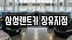 삼성렌트카 장유지점