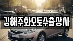 김해주화오토수출상사