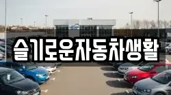 슬기로운자동차생활