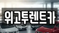 위고투렌트카