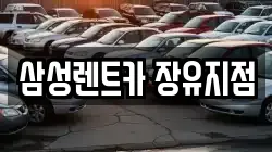 삼성렌트카 장유지점