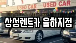 경남 김해시 율하동 렌트카,단기렌트카,장기렌트카,중고차,중고차매매,중고차매입