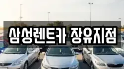 삼성렌트카 장유지점