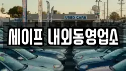 세이프 내외동영업소