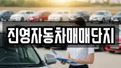 진영자동차매매단지