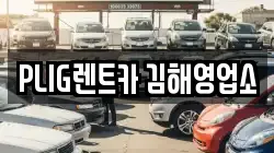 경남 김해시 진영읍 렌트카,단기렌트카,장기렌트카,중고차,중고차매매,중고차매입