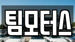 팀모터스
