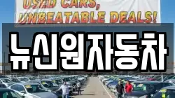 뉴신원자동차