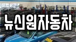 뉴신원자동차