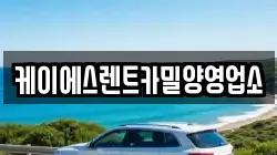 경남 밀양시 내일동 렌트카,단기렌트카,장기렌트카,중고차,중고차매매,중고차매입