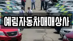 경남 밀양시 상남면 렌트카,단기렌트카,장기렌트카,중고차,중고차매매,중고차매입