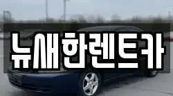 경남 밀양시 상동면 렌트카,단기렌트카,장기렌트카,중고차,중고차매매,중고차매입