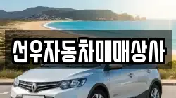 선우자동차매매상사