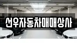 선우자동차매매상사