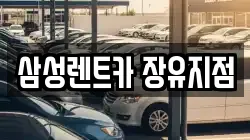 삼성렌트카 장유지점