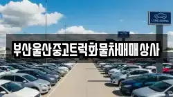 부산울산중고트럭화물차매매상사