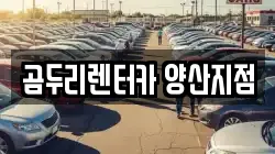 경남 양산시 동면 렌트카,단기렌트카,장기렌트카,중고차,중고차매매,중고차매입