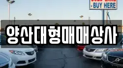 양산대형매매상사