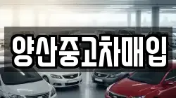 양산중고차매입